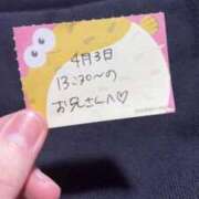 ヒメ日記 2026/04/03 18:21 投稿 ことり TOKYO BUNNYS CLUB