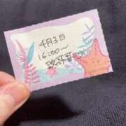 ヒメ日記 2026/04/03 21:14 投稿 ことり TOKYO BUNNYS CLUB