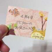 ヒメ日記 2026/04/04 22:53 投稿 ことり TOKYO BUNNYS CLUB