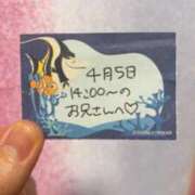 ヒメ日記 2026/04/05 20:13 投稿 ことり TOKYO BUNNYS CLUB