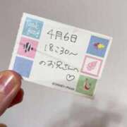 ヒメ日記 2026/04/06 22:13 投稿 ことり TOKYO BUNNYS CLUB