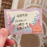 ヒメ日記 2026/04/09 16:33 投稿 ことり TOKYO BUNNYS CLUB