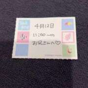 ヒメ日記 2026/04/12 18:15 投稿 ことり TOKYO BUNNYS CLUB