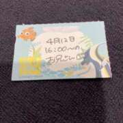 ヒメ日記 2026/04/12 21:13 投稿 ことり TOKYO BUNNYS CLUB