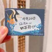 ヒメ日記 2026/04/20 18:23 投稿 ことり TOKYO BUNNYS CLUB