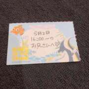 ヒメ日記 2026/05/02 20:13 投稿 ことり TOKYO BUNNYS CLUB