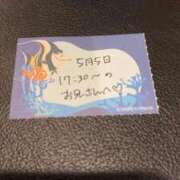 ヒメ日記 2026/05/05 20:13 投稿 ことり TOKYO BUNNYS CLUB