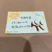 ヒメ日記 2026/05/09 16:03 投稿 ことり TOKYO BUNNYS CLUB