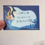 ヒメ日記 2026/05/11 21:53 投稿 ことり TOKYO BUNNYS CLUB