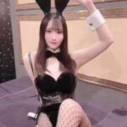 ヒメ日記 2026/05/12 12:13 投稿 ことり TOKYO BUNNYS CLUB