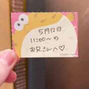 ヒメ日記 2026/05/12 13:33 投稿 ことり TOKYO BUNNYS CLUB