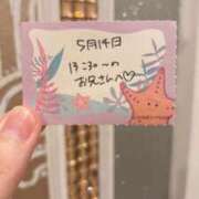 ヒメ日記 2026/05/14 16:03 投稿 ことり TOKYO BUNNYS CLUB
