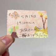 ヒメ日記 2026/05/15 00:03 投稿 ことり TOKYO BUNNYS CLUB