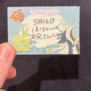 ヒメ日記 2026/05/16 22:15 投稿 ことり TOKYO BUNNYS CLUB