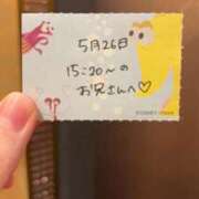 ヒメ日記 2026/05/26 18:13 投稿 ことり TOKYO BUNNYS CLUB