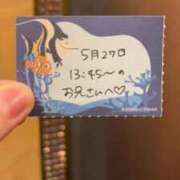 ヒメ日記 2026/05/27 16:43 投稿 ことり TOKYO BUNNYS CLUB
