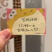 ヒメ日記 2026/05/28 14:53 投稿 ことり TOKYO BUNNYS CLUB