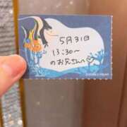 ヒメ日記 2026/05/31 21:03 投稿 ことり TOKYO BUNNYS CLUB