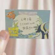 ヒメ日記 2026/06/01 22:13 投稿 ことり TOKYO BUNNYS CLUB