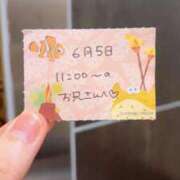 ヒメ日記 2026/06/05 13:33 投稿 ことり TOKYO BUNNYS CLUB