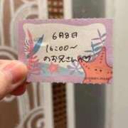 ヒメ日記 2026/06/08 22:03 投稿 ことり TOKYO BUNNYS CLUB