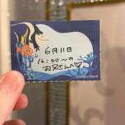 ヒメ日記 2026/06/11 19:13 投稿 ことり TOKYO BUNNYS CLUB