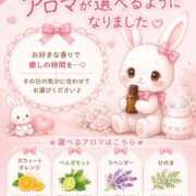ヒメ日記 2026/06/14 21:13 投稿 ことり TOKYO BUNNYS CLUB