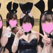 ヒメ日記 2026/06/23 18:04 投稿 ことり TOKYO BUNNYS CLUB