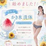 ヒメ日記 2026/07/31 12:24 投稿 ことり TOKYO BUNNYS CLUB