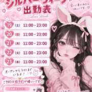 ヒメ日記 2026/09/13 18:13 投稿 ことり TOKYO BUNNYS CLUB