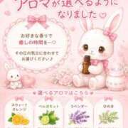 ヒメ日記 2026/10/11 15:43 投稿 ことり TOKYO BUNNYS CLUB