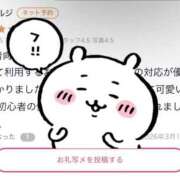 サク 【お礼写メ日記】 マドンナ(仙台)