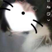 愛夢　りつか ﾓｰﾆﾝ☀️ OLセレクション宇都宮店