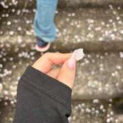 ヒメ日記 2026/04/05 13:54 投稿 愛夢　りつか OLセレクション宇都宮店