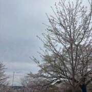 ヒメ日記 2026/04/06 07:05 投稿 愛夢　りつか OLセレクション宇都宮店