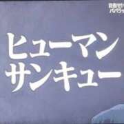 ヒメ日記 2026/04/28 09:44 投稿 愛夢　りつか OLセレクション宇都宮店