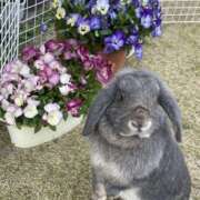 ヒメ日記 2026/03/18 22:29 投稿 りりか 茨城日立ちゃんこ