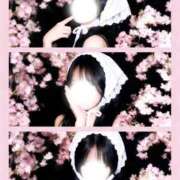 ヒメ日記 2026/04/17 14:03 投稿 美竹珠奈 お姉さんCLUB