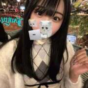 ヒメ日記 2026/02/24 22:13 投稿 うみ TOKYO BUNNYS CLUB