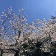 ヒメ日記 2026/03/27 19:28 投稿 カワフグ　川河豚 女の子市場　川越店