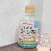 せいら せいら（clubさくら梅田店） clubさくら梅田店