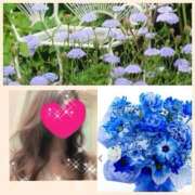 ヒメ日記 2026/03/10 10:37 投稿 ちはる(昭和41年生まれ) 性熟カップル～60代からの営み～