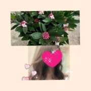 ヒメ日記 2026/03/16 10:48 投稿 ちはる(昭和41年生まれ) 性熟カップル～60代からの営み～