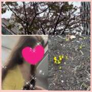 ヒメ日記 2026/03/24 17:08 投稿 ちはる(昭和41年生まれ) 性熟カップル～60代からの営み～