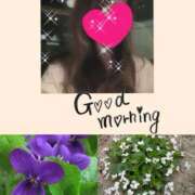 ヒメ日記 2026/03/31 10:18 投稿 ちはる(昭和41年生まれ) 性熟カップル～60代からの営み～