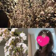 ヒメ日記 2026/04/02 13:50 投稿 ちはる(昭和41年生まれ) 性熟カップル～60代からの営み～