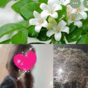 ヒメ日記 2026/04/03 10:40 投稿 ちはる(昭和41年生まれ) 性熟カップル～60代からの営み～