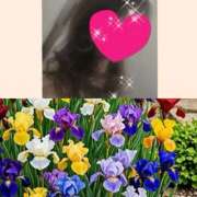 ヒメ日記 2026/04/05 11:54 投稿 ちはる(昭和41年生まれ) 性熟カップル～60代からの営み～