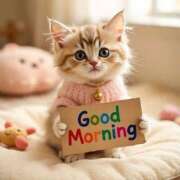 ヒメ日記 2026/02/23 11:35 投稿 小林ゆかり 熟女パラダイス岐阜羽島店（カサブランカグループ）