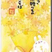 ヒメ日記 2026/03/31 13:17 投稿 小林ゆかり 熟女パラダイス岐阜羽島店（カサブランカグループ）